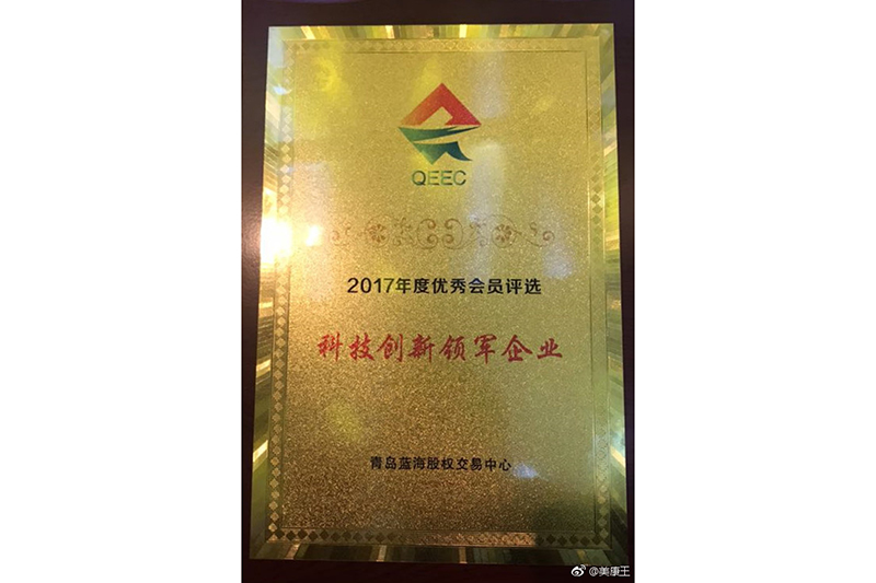 科技創(chuàng)新領(lǐng)軍企業(yè)